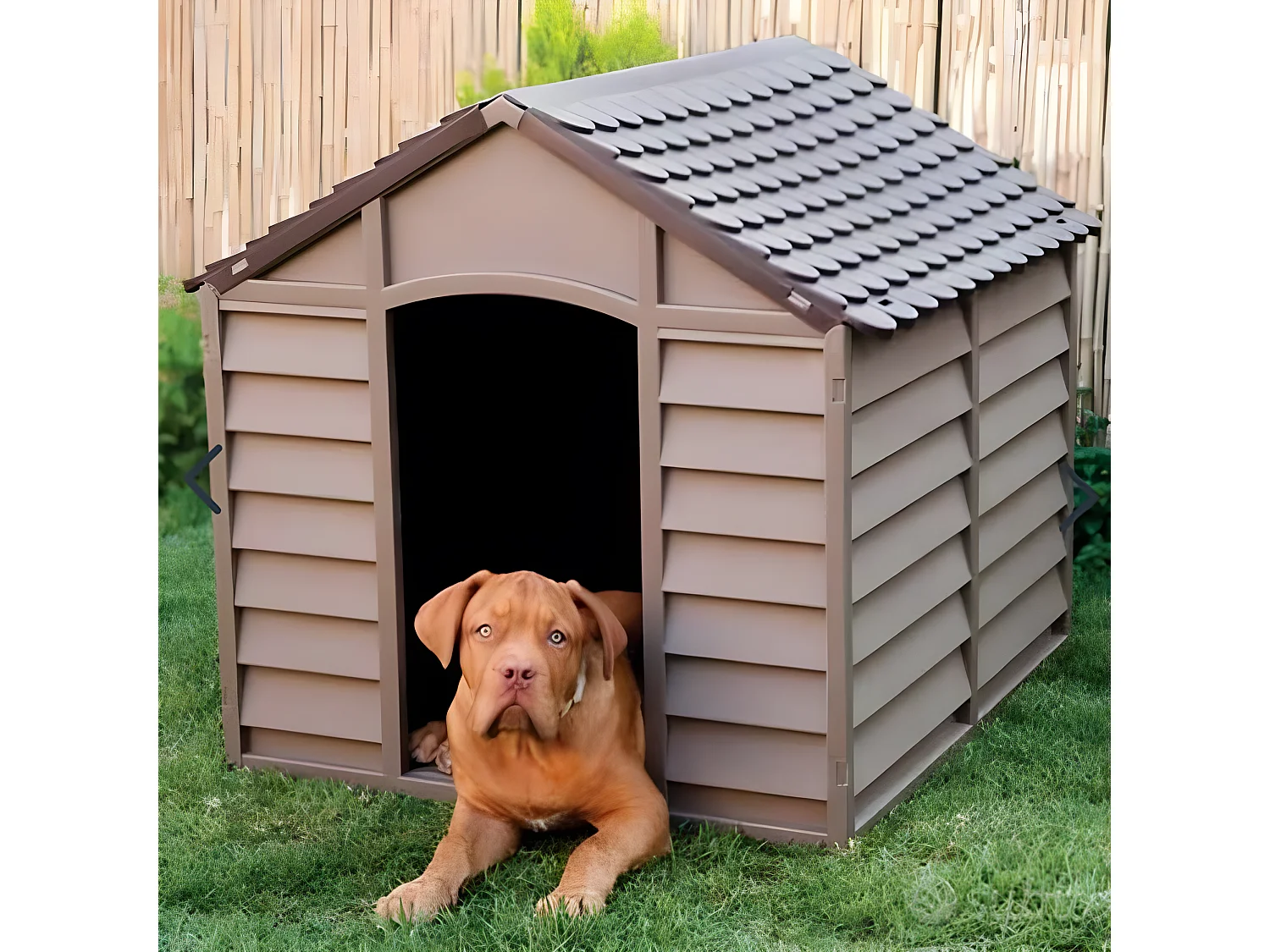 MilaniHome.it - Cuccia Per Cani Di Taglia Medio Piccola Pluto Bianca E Verde Cm 72x71,5x68 Hdi coloreBianco