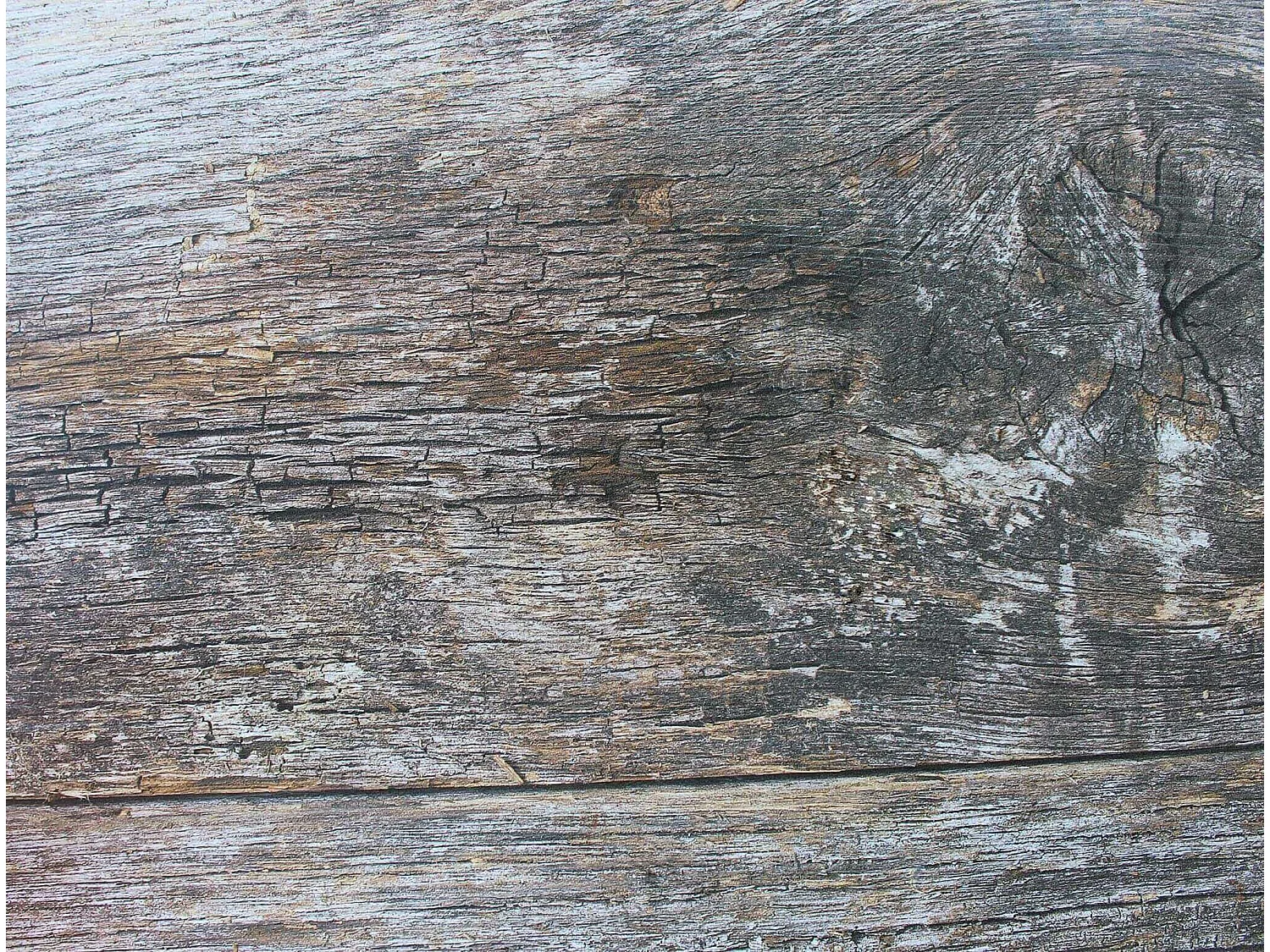 MilaniHome.it - Piano Per Tavolo Moderno A Colonna Da Assemblare Ideale Per Bar E Ristoranti, 70x70 Cm, Cm 70x70di coloreGrigio