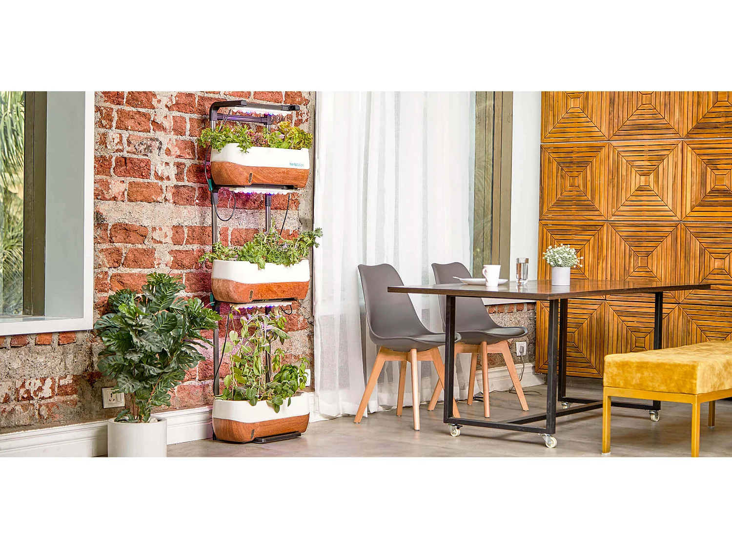 MilaniHome.it - Sedia Moderna Con Seduta Imbottita Stile Nordico Gambe In Legno Per Sala Da Pranzo Salotto Bar Ristorantedi coloreGrigio