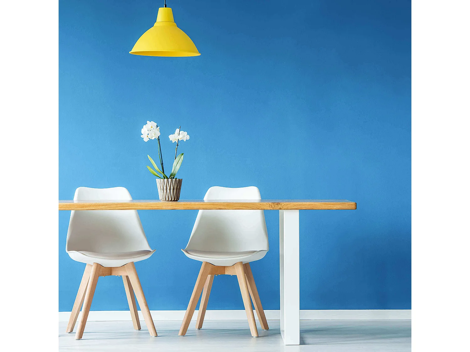 MilaniHome.it - Set Di 2 Sedie Di Design Moderne In Polipropilene Bianco E Legno Massello Di Faggio Per Sala Da Pranzo Locale Bar Ristorantedi coloreBianco