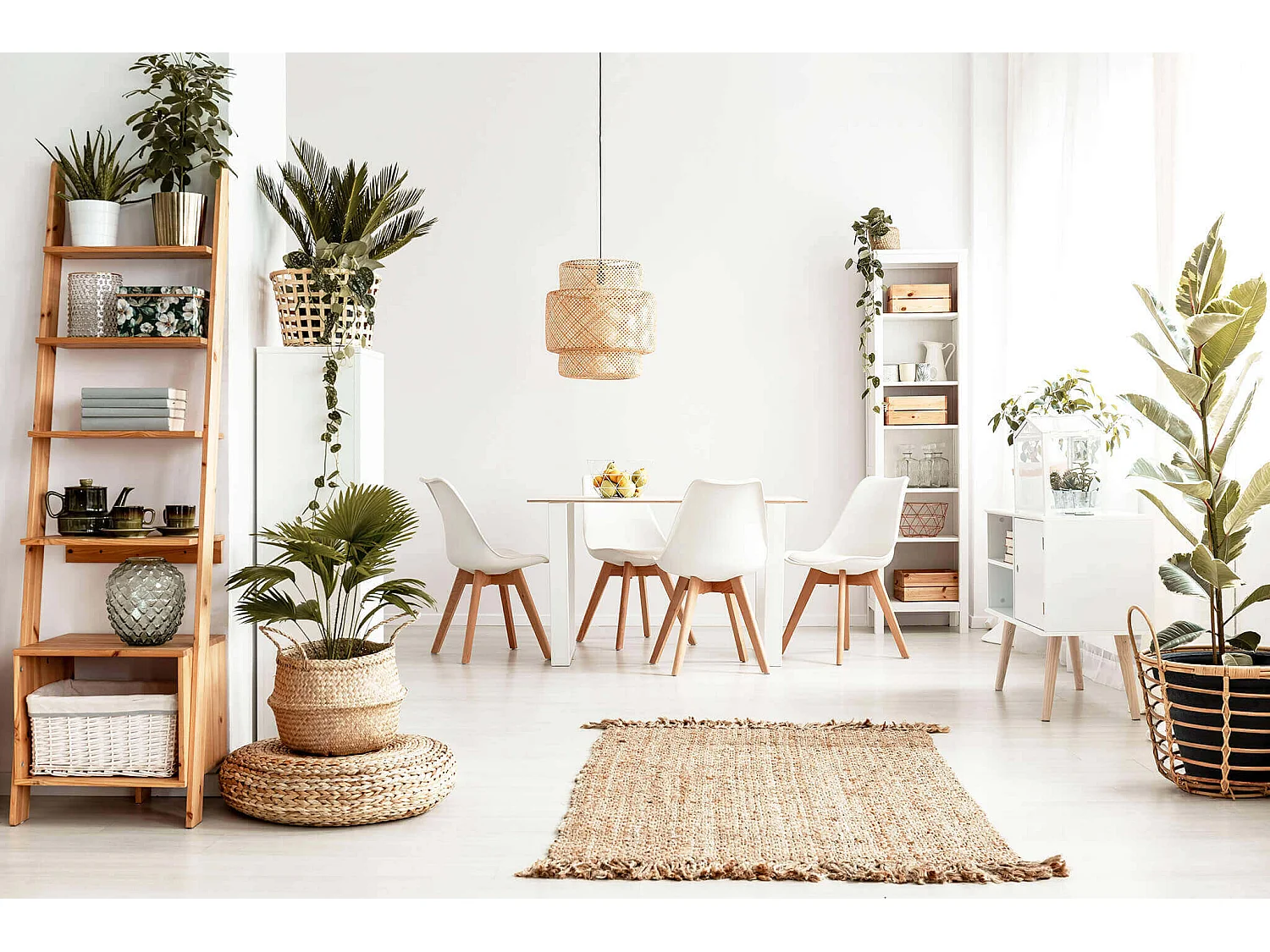 MilaniHome.it - Set Di 4 Sedie Di Design Moderne In Polipropilene Bianco E Legno Massello Di Faggio Per Sala Da Pranzo Locale Bar Ristorantedi coloreBianco