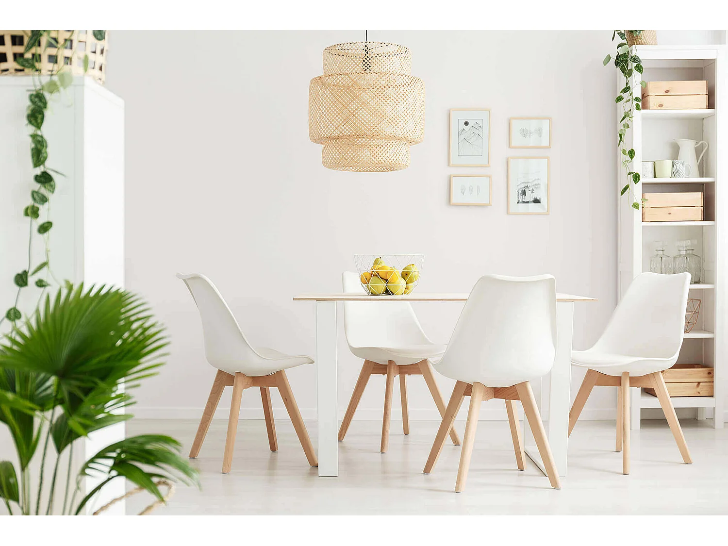 MilaniHome.it - Set Di 4 Sedie Di Design Moderne In Polipropilene Bianco E Legno Massello Di Faggio Per Sala Da Pranzo Locale Bar Ristorantedi coloreBianco