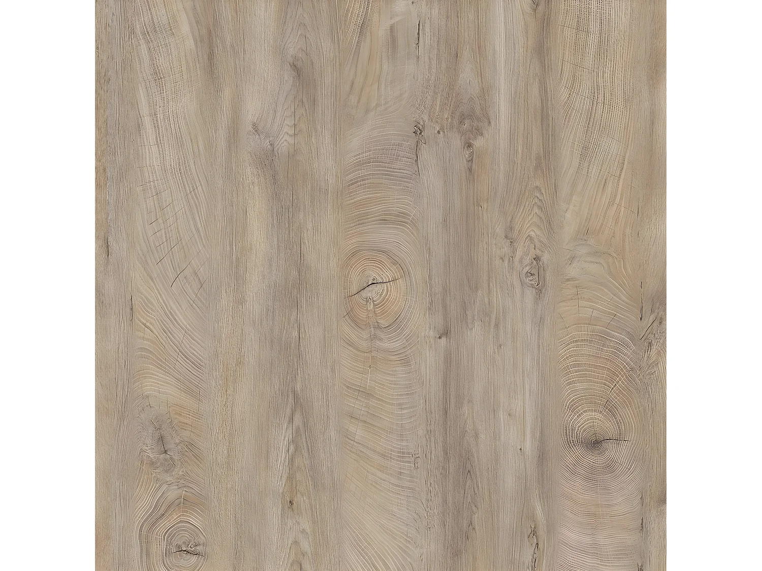 MilaniHome.it - tavolino da salotto moderno cm 100x55x41 hdi coloreRovere grigio