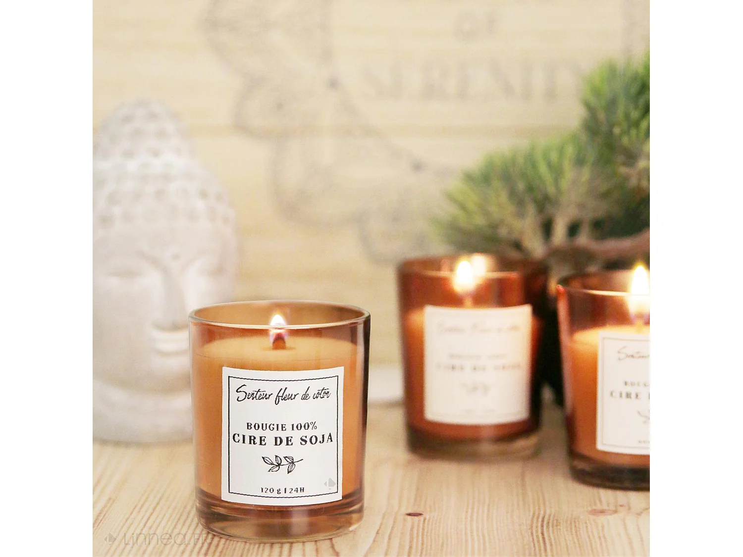 Bougie parfumée 100% cire de soja senteur fleur de coton collection SOYA