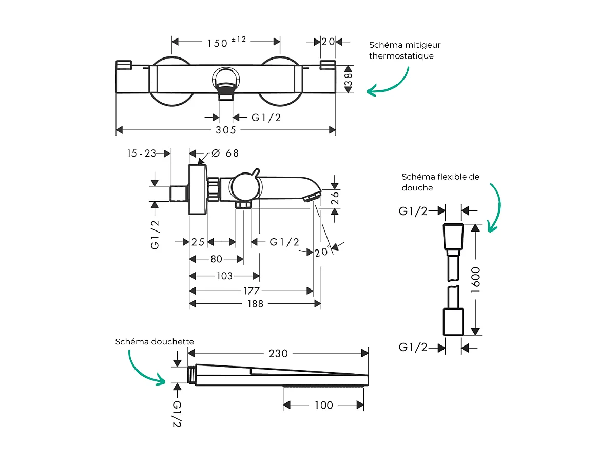 Pack mitigeur bain thermostatique HANSGROHE Ecostat Comfort + Flexible Designflex 1,6m + Pommeau Pulsify E 100 EcoSmart chromé