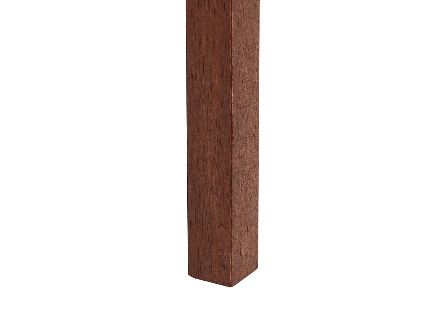 Lot de 2 chaises de salle à manger ORTLEY Bois Marron foncé