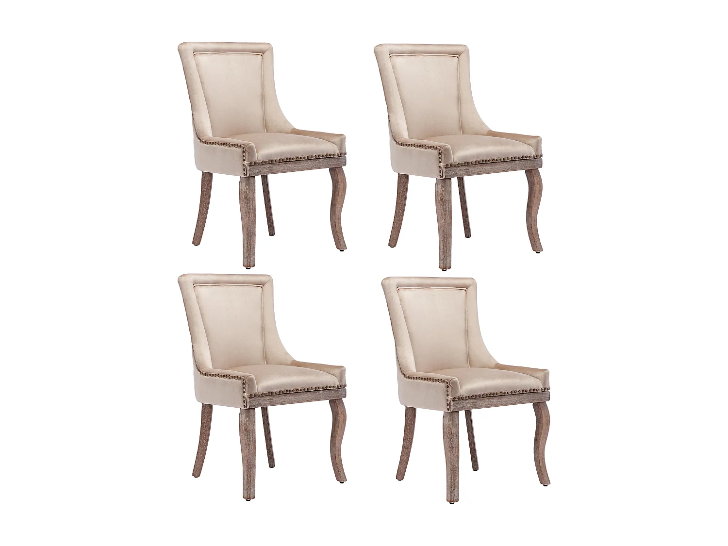 Set mit 4 luxuriösen Esszimmerstühlen – Samt und Massivholz – Nietenverzierung – Beige