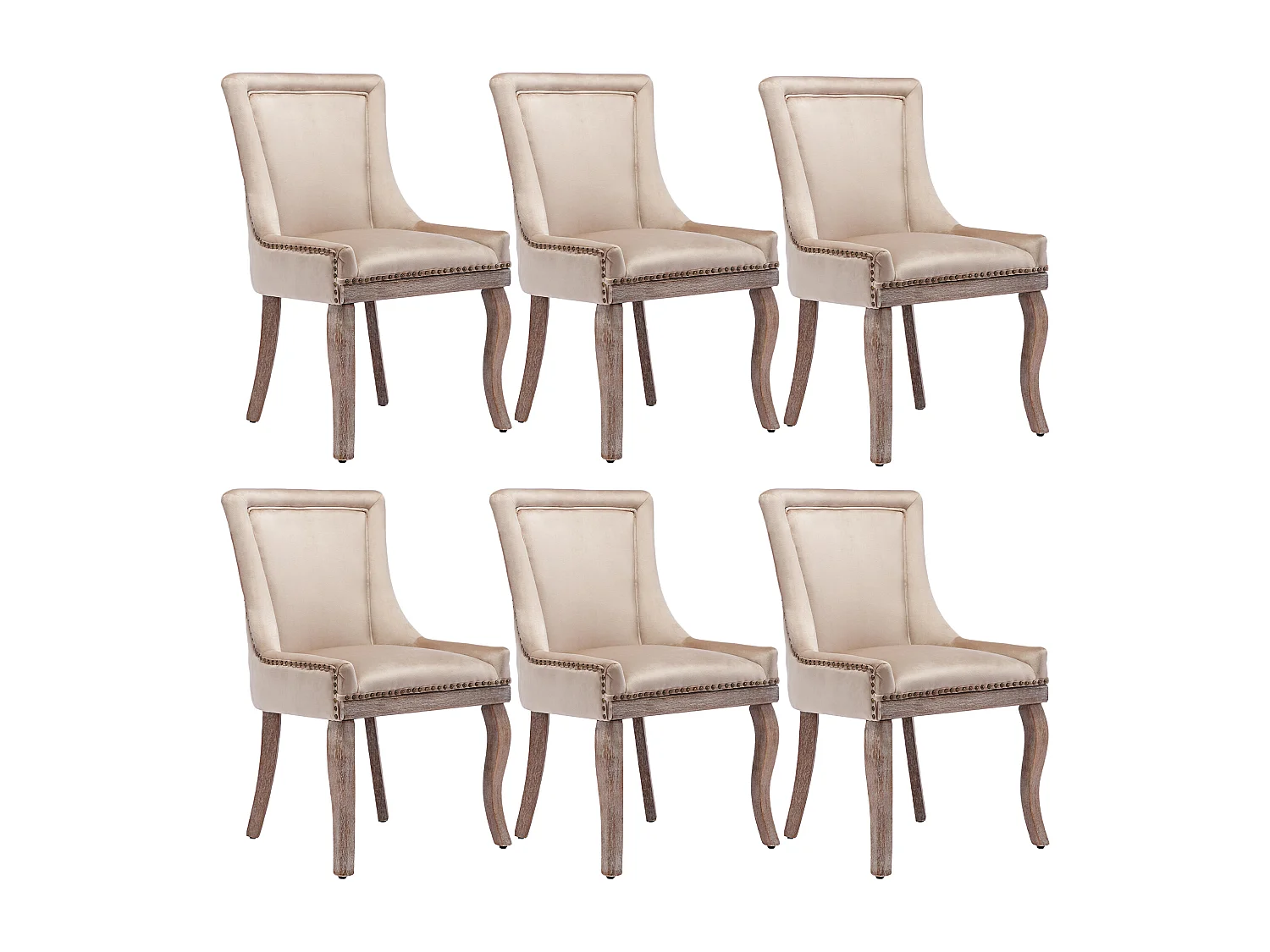 Lot de 6 chaises de salle à manger luxueuses - Velours et bois massif - Décoration de rivets - Beige