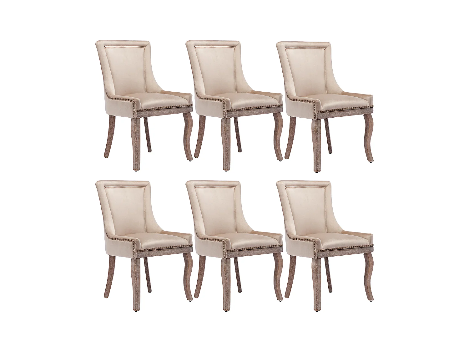 Lot de 6 chaises de salle à manger luxueuses - Velours et bois massif - Décoration de rivets - Beige