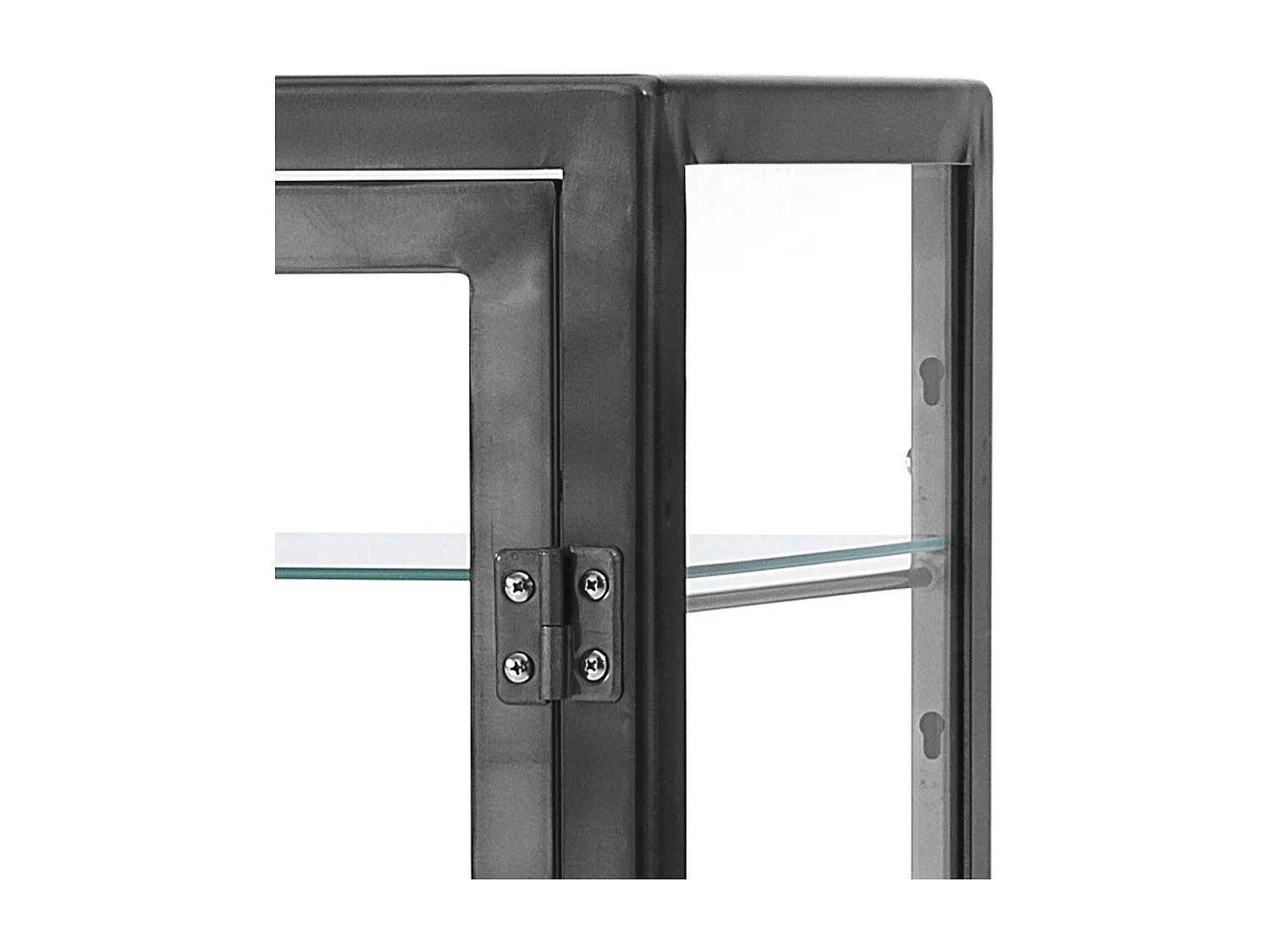 Vitrina 1 puerta EDEN