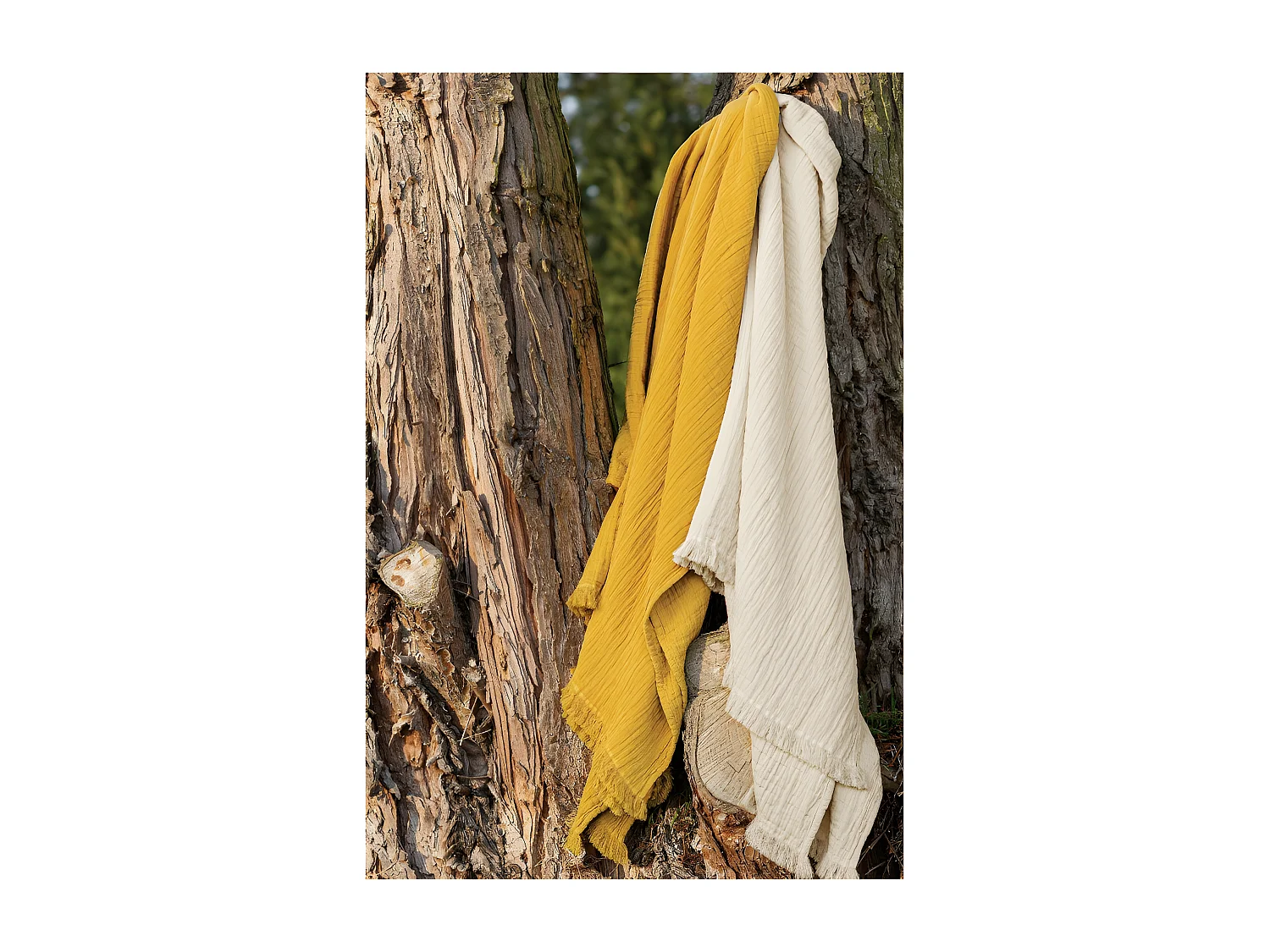 Plaid à franges "Brehat" Gaze de Coton stonewashed Toison d'or