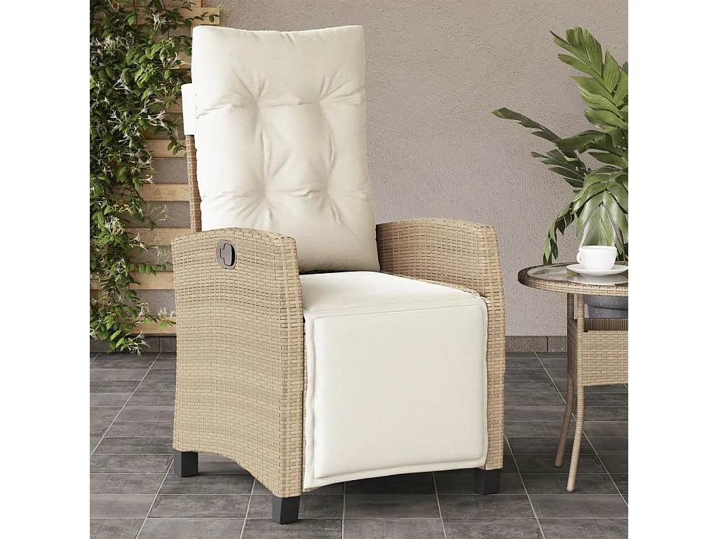 Lot de 2 Chaises inclinables de jardin avec repose-pied rotin FR56339