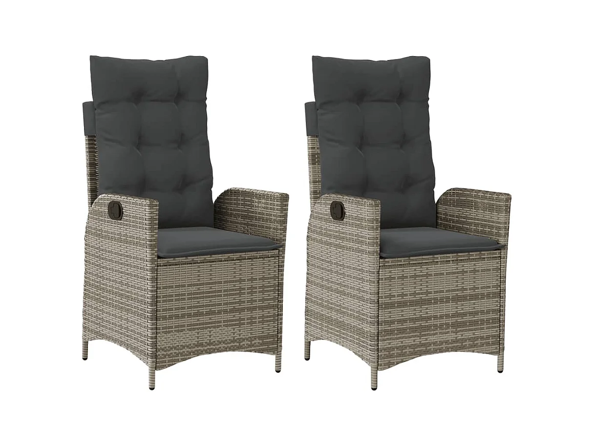 Lot de 2 Chaises inclinables de jardin et coussins gris rotin FR41062