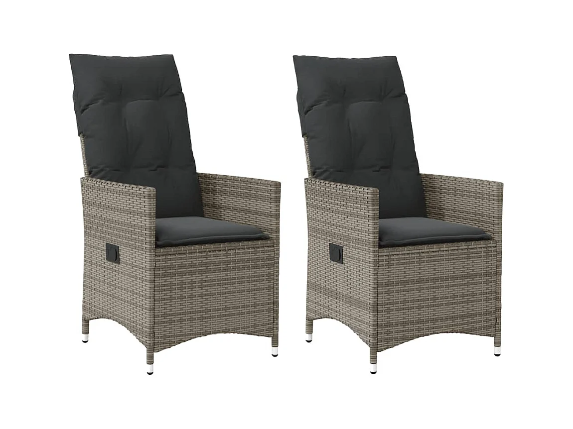 Lot de 2 Chaises inclinables de jardin et coussins gris rotin FR86042