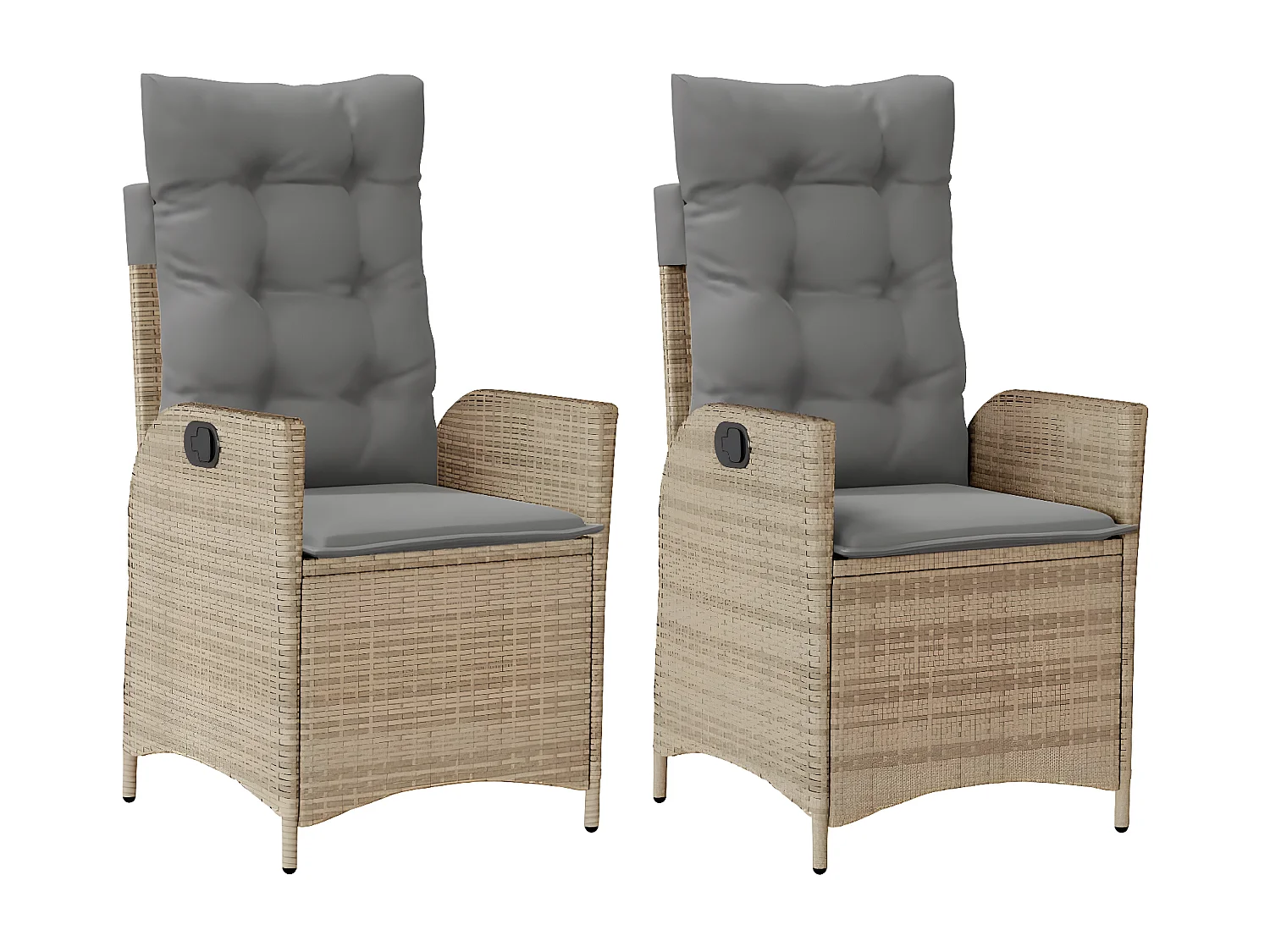 Lot de 2 Chaises inclinables jardin et coussins résine tressée FR32821