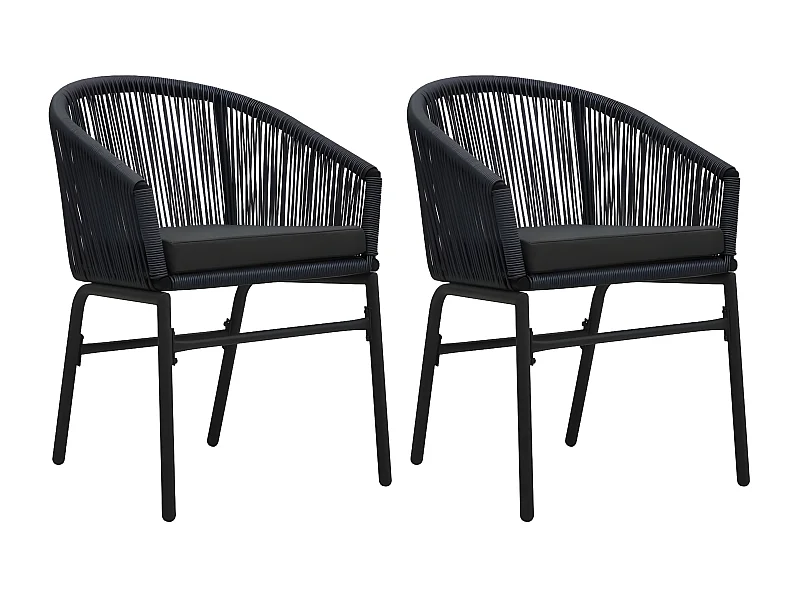 Lot de 2 Chaises de jardin Noir Rotin PE FR77585