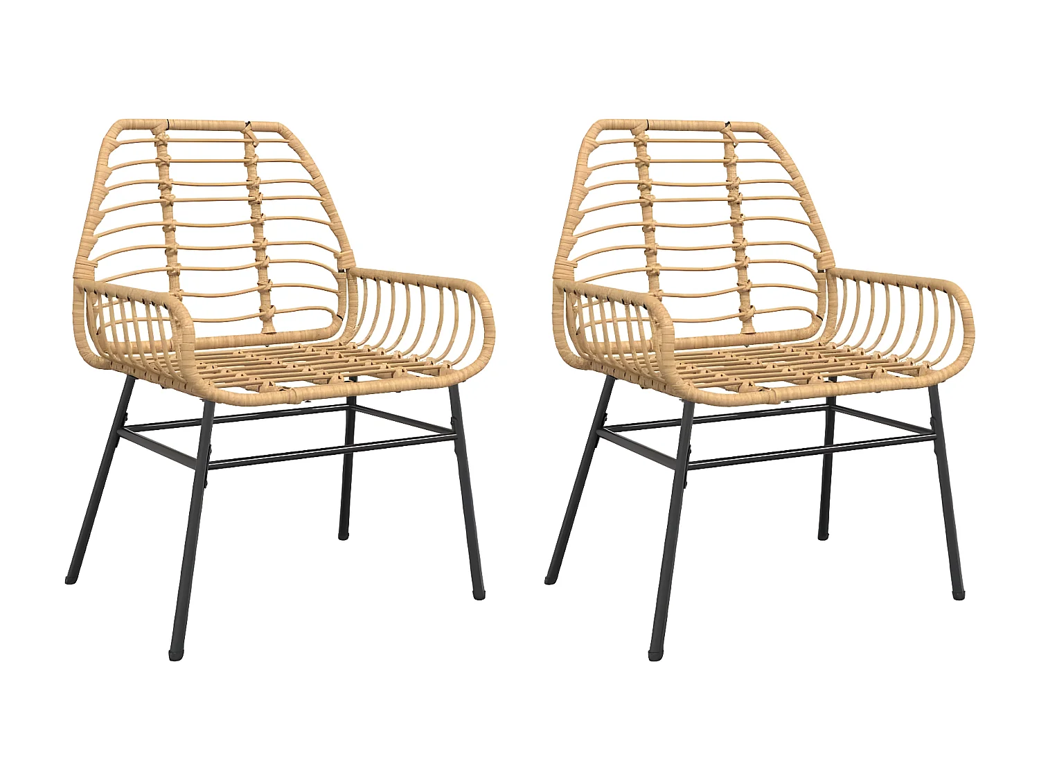 Lot de 2 Chaises de jardin marron résine tressée FR76953
