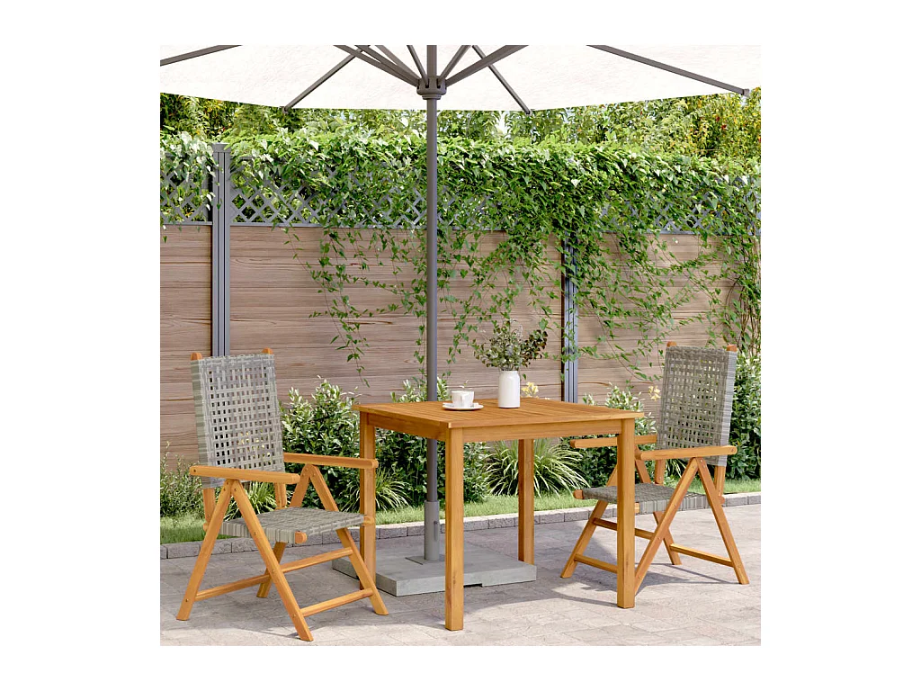 Lot de 2 Chaises de jardin gris bois massif d'acacia et rotin FR68783