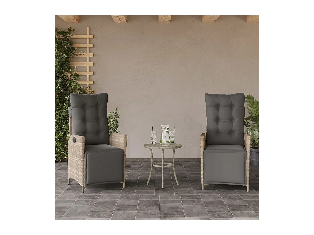 Lot de 2 Chaises inclinables de jardin avec repose-pied rotin FR44228