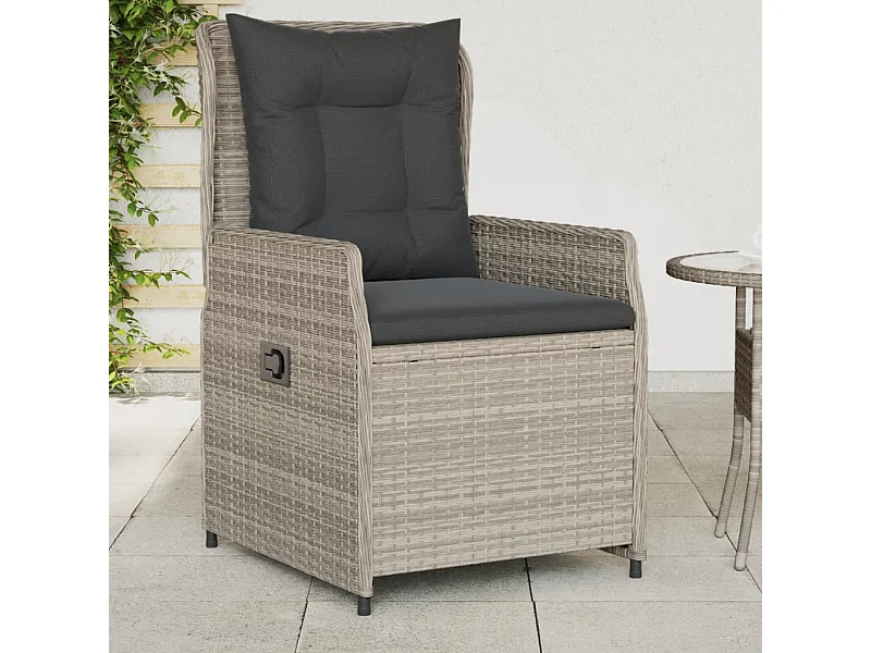 Cadeiras jardim reclináveis 2 pcs vime PE cinzento-claro PT742640