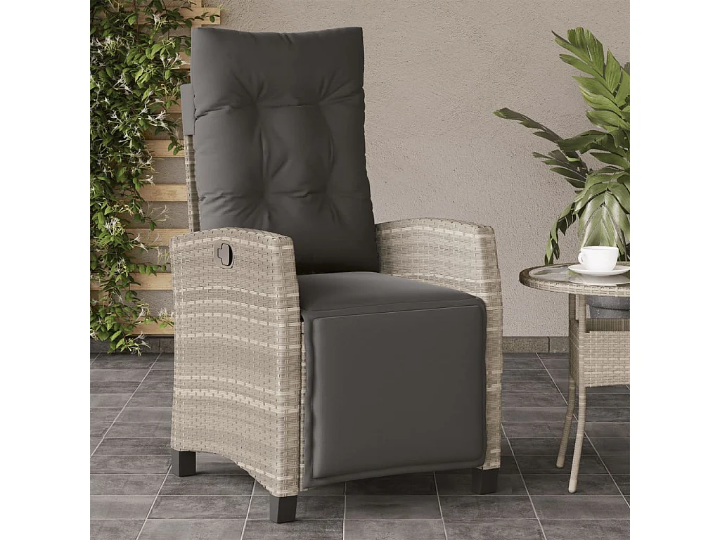 Lot de 2 Chaises inclinables de jardin avec repose-pied rotin FR38319
