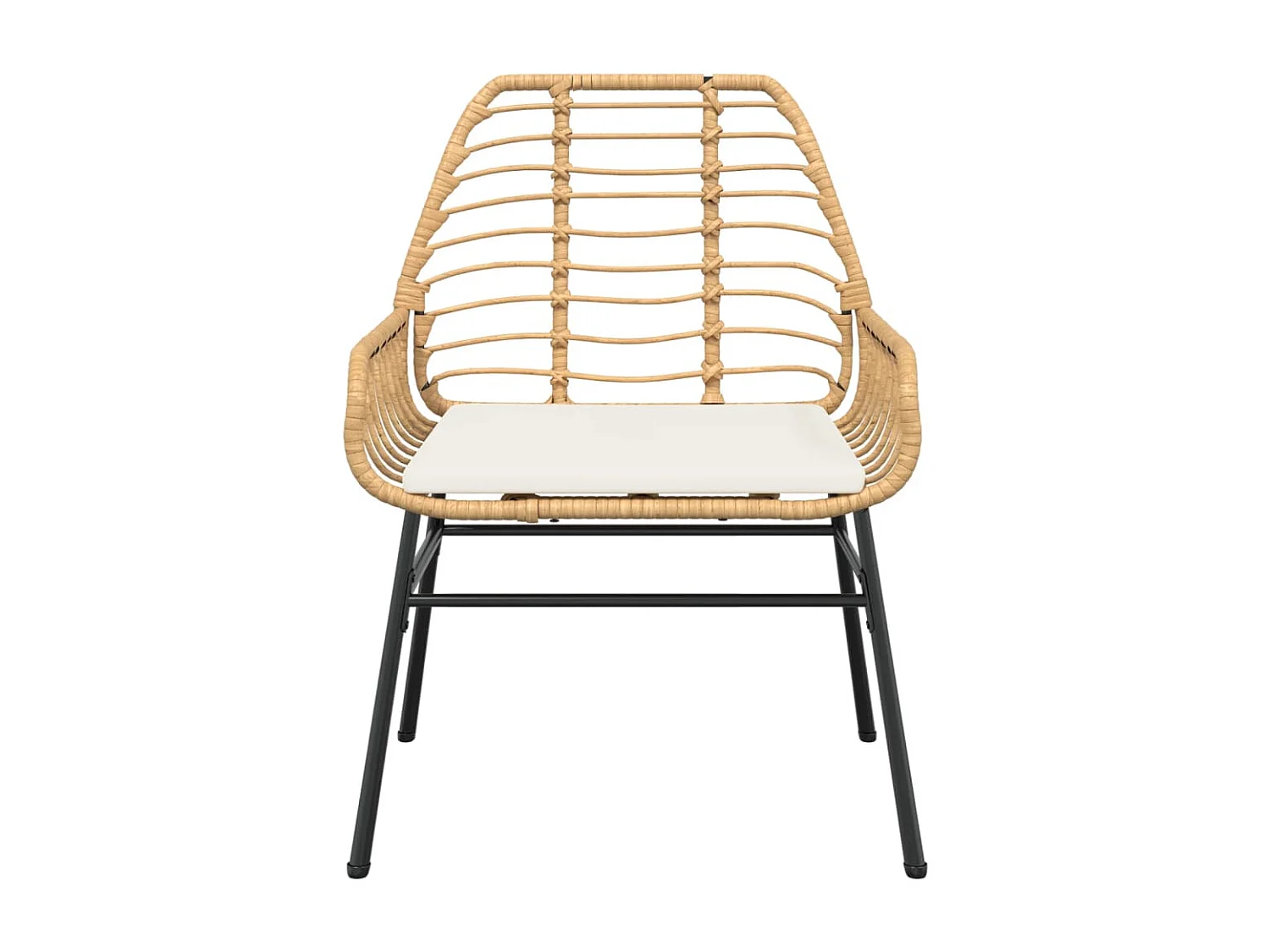 Lot de 2 Chaises de jardin et coussins marron rotin FR46393