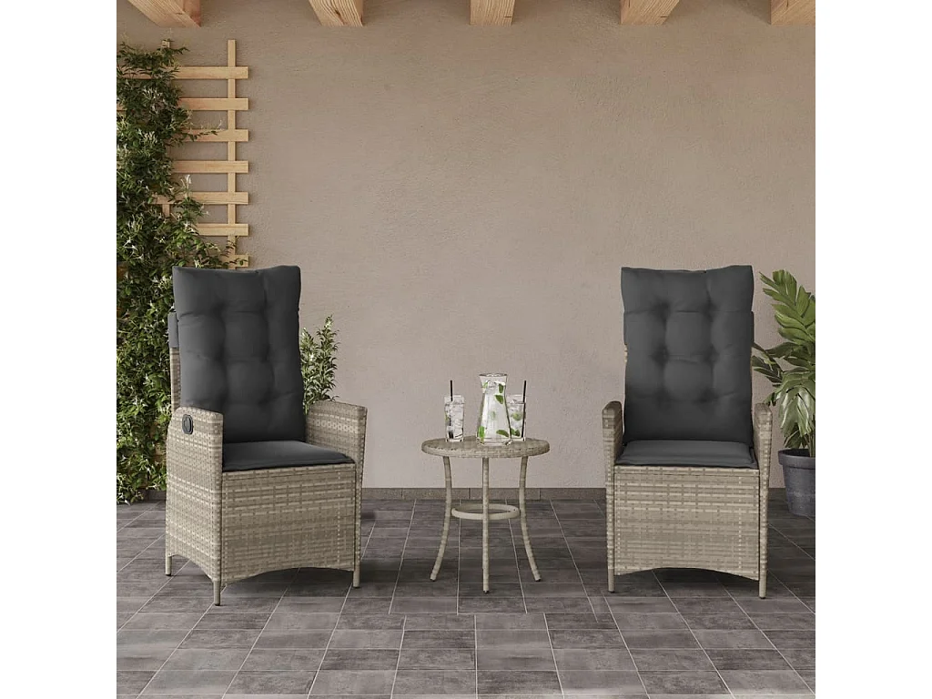 Lot de 2 Chaises inclinables jardin et coussins résine tressée FR51000