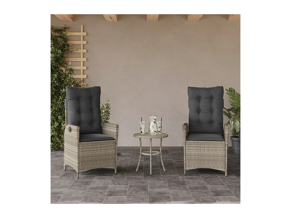 Lot de 2 Chaises inclinables jardin et coussins résine tressée FR51000