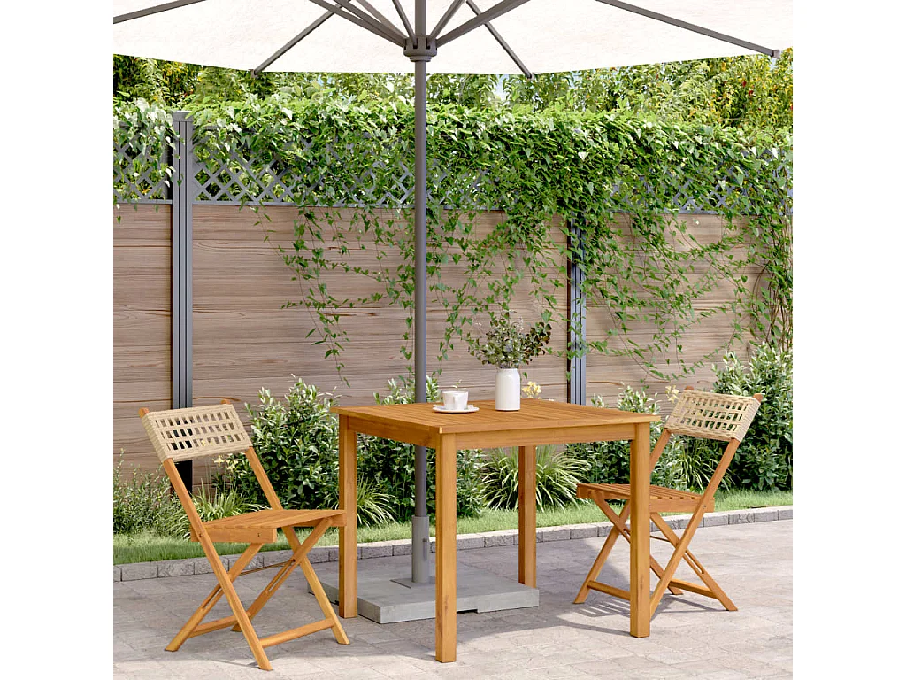 Lot de 2 Chaises de bistrot beige bois massif d'acacia et rotin FR53431