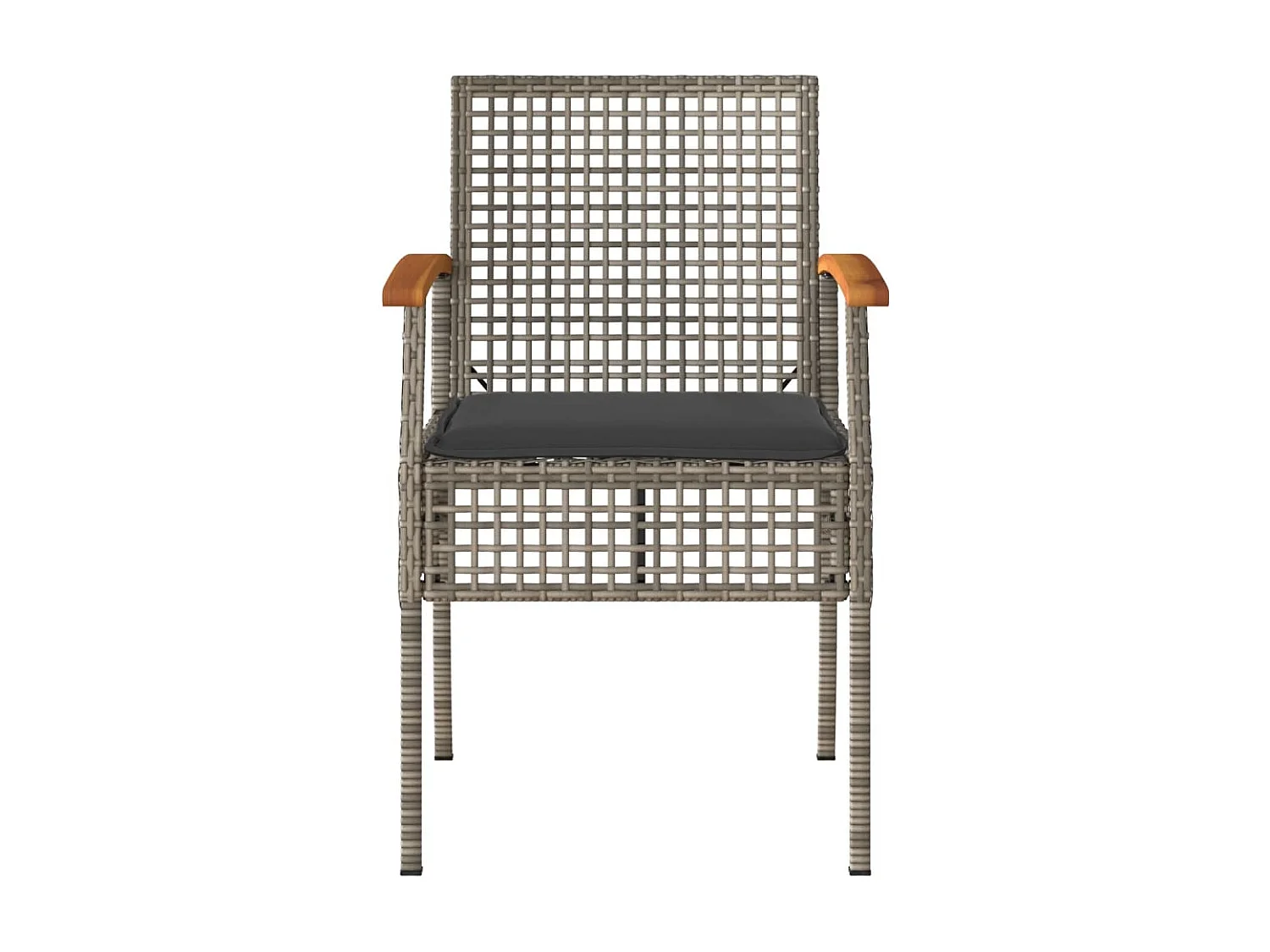 Lot de 2 Chaises de jardin coussins gris résine tressée acacia FR74374