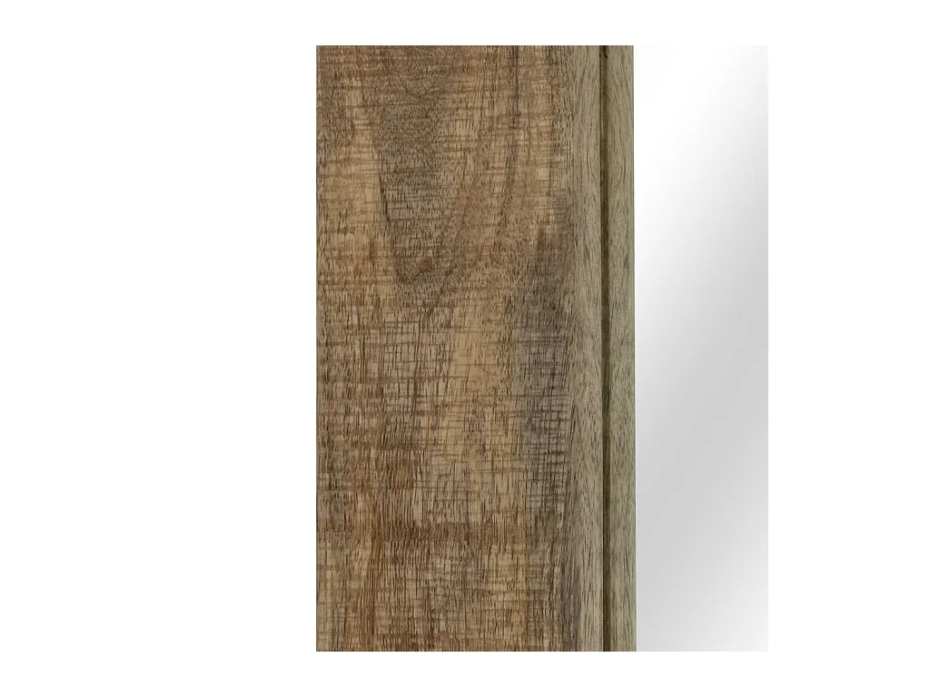 Spiegel 50x110 cm massief mangohout BE182317