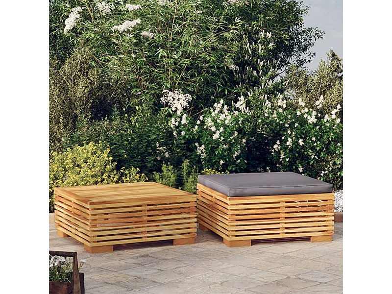 Salon de jardin 2 pcs Bois de teck massif FR98905