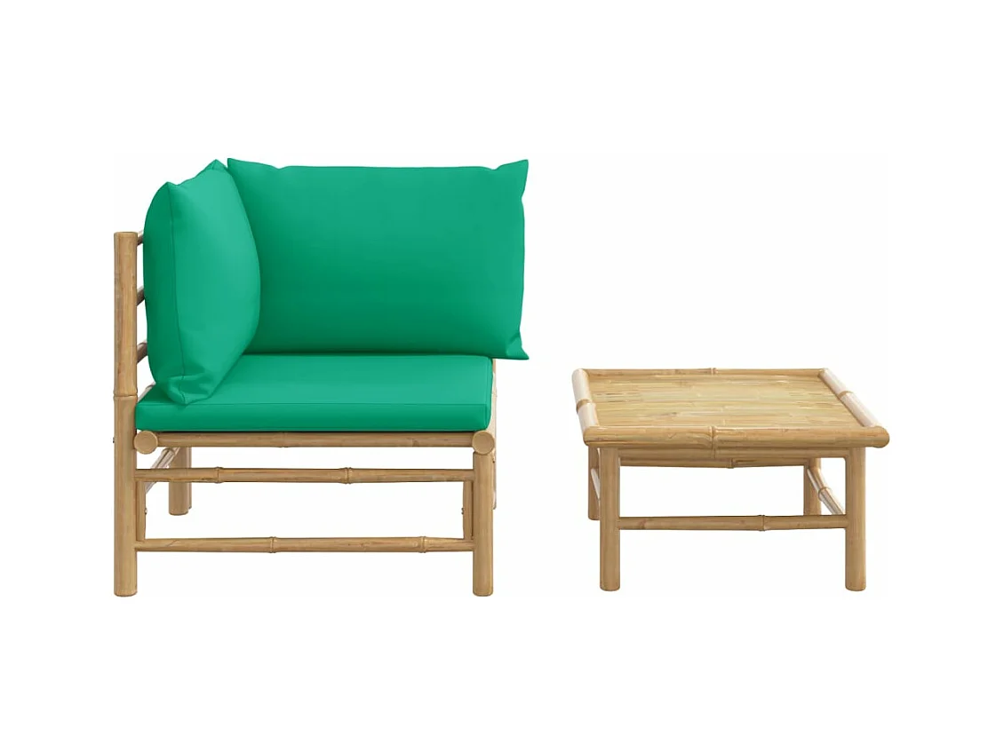 Salon de jardin 2 pcs avec coussins vert bambou FR57275