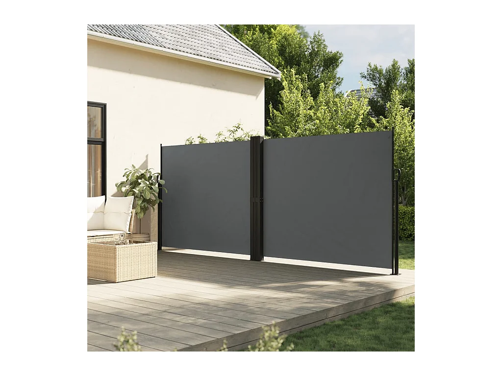 Auvent latéral rétractable anthracite 160x1200 cm FR70069