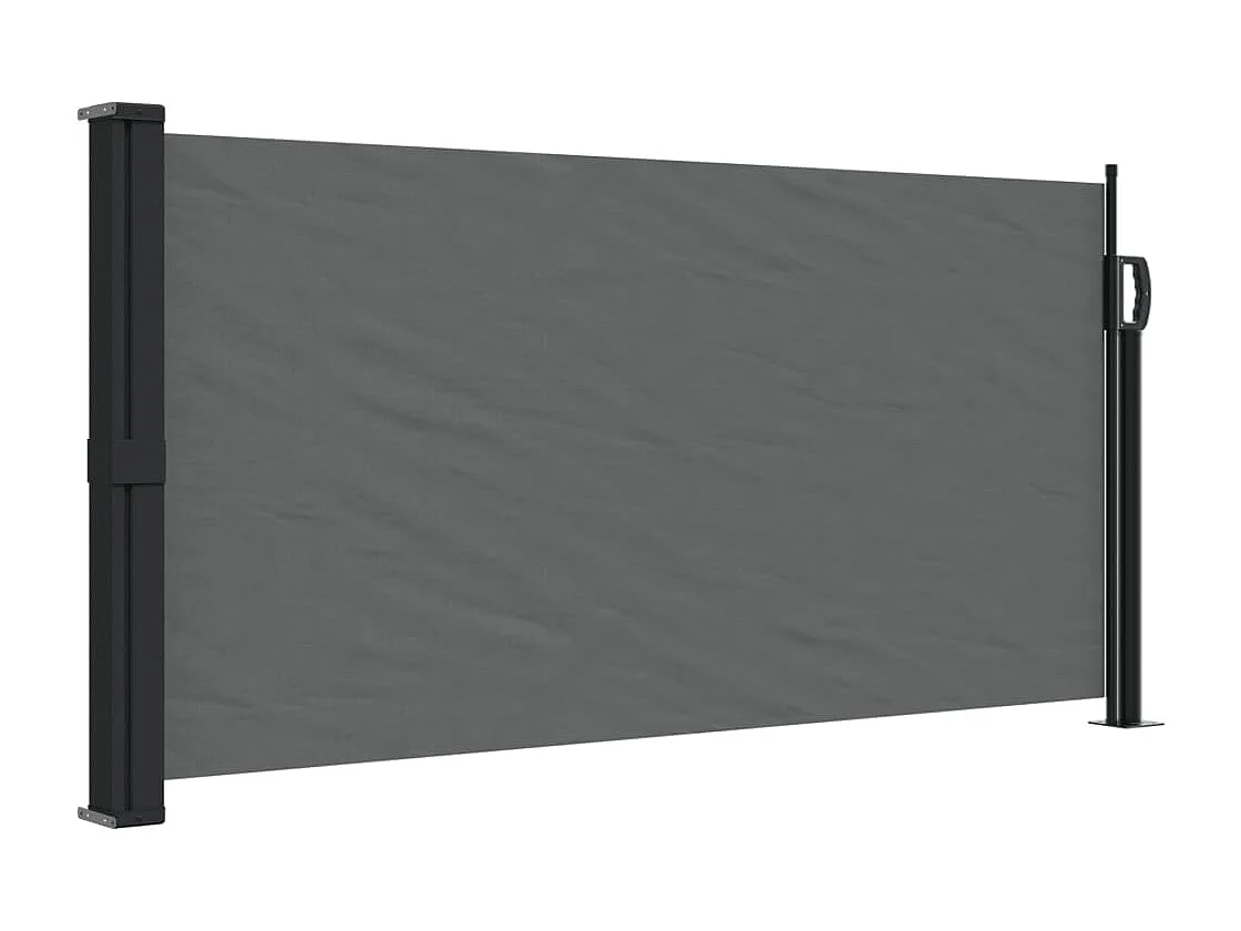 Auvent latéral rétractable anthracite 100x300 cm FR54323