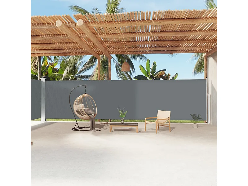 Toldo lateral retráctil antracita 200x1200 cm ES601976