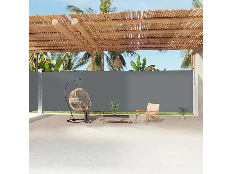 Auvent latéral rétractable Anthracite 220x1200 cm FR13967