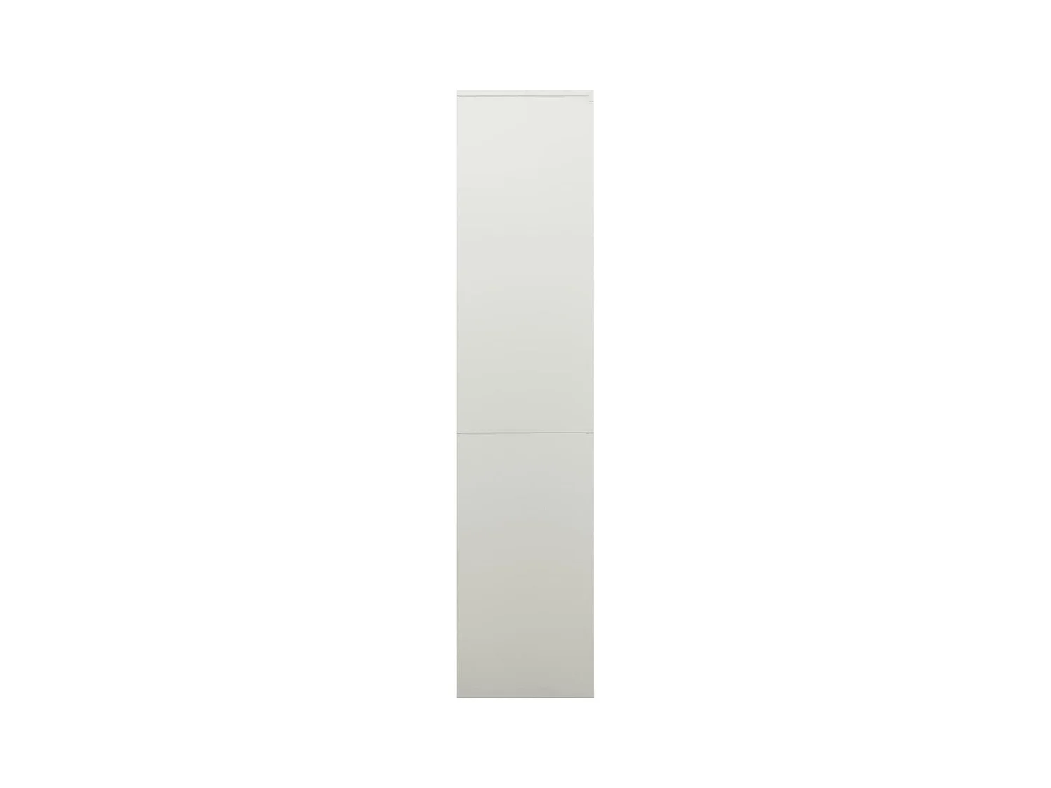 Armoire de bureau Gris clair 90x40x180 cm Acier FR51349