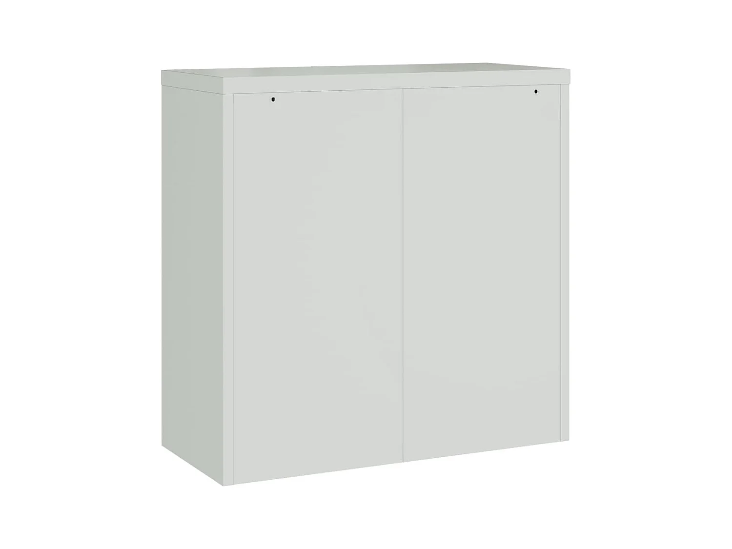Armoire de bureau avec 2 portes Gris 90 cm Acier FR99808