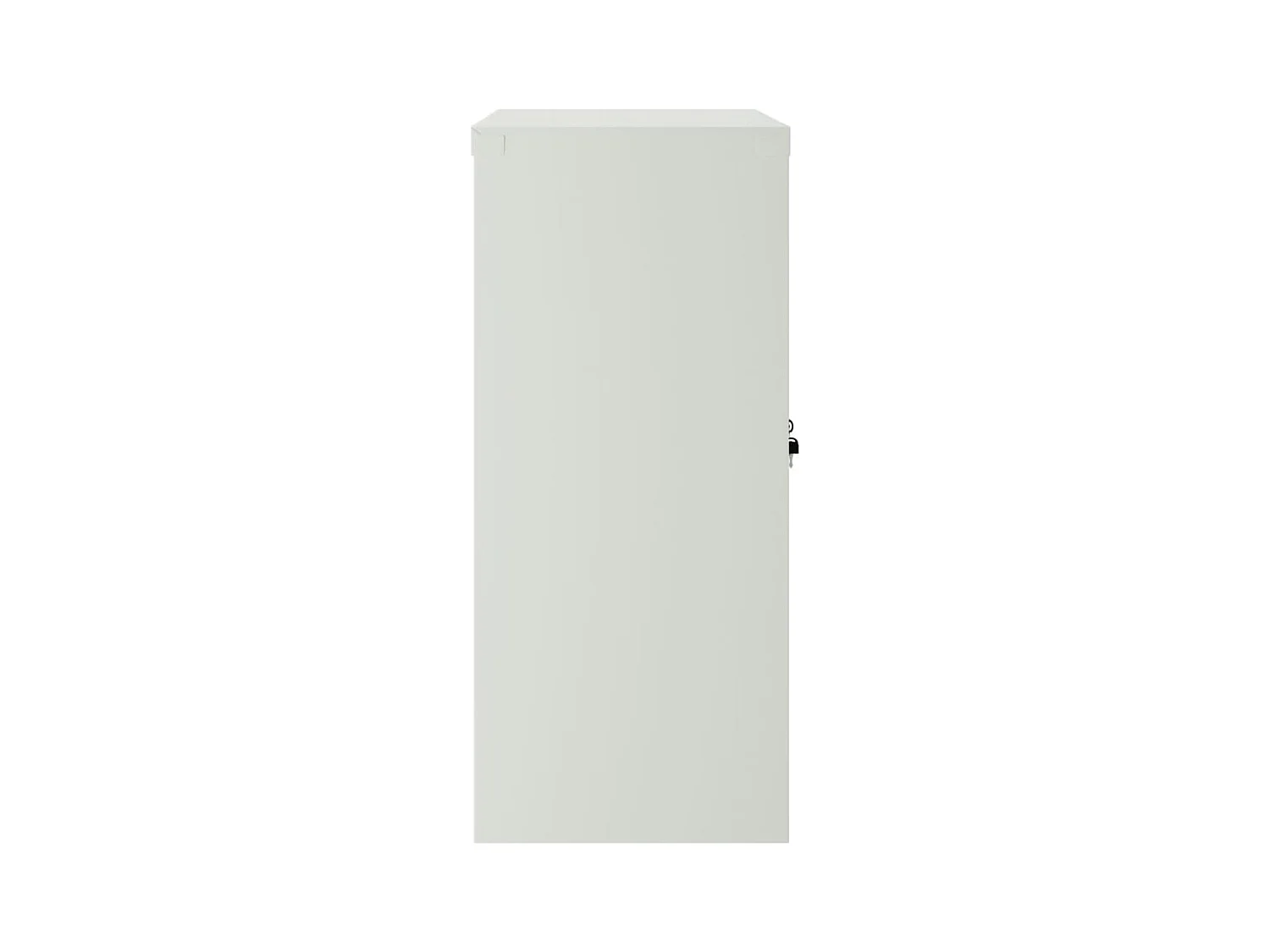 Armoire de bureau avec 2 portes Gris 90 cm Acier FR99808