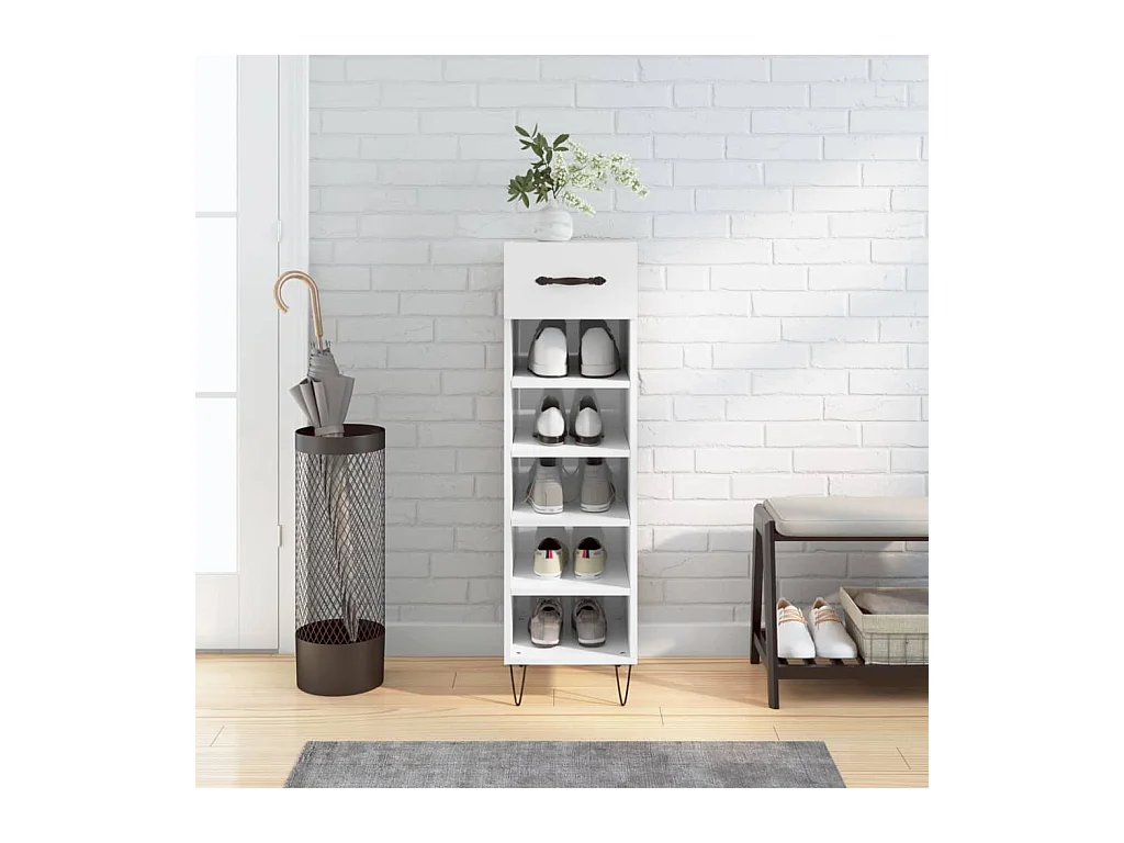 Meuble à chaussure Blanc brillant 30x35x105 cm Bois ingénierie FR44847