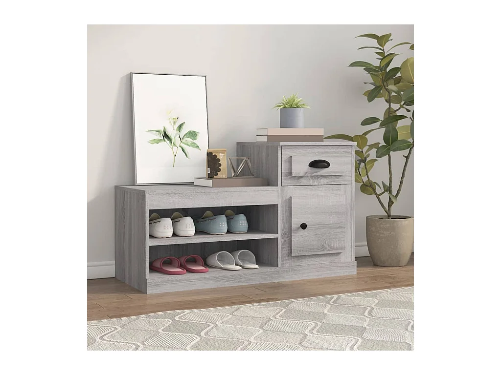 Meuble à chaussures sonoma gris 100x42x60 cm bois d'ingénierie FR25351