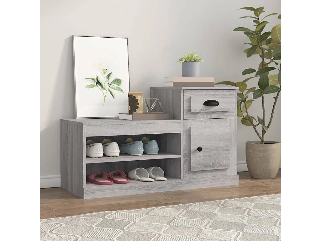 Meuble à chaussures sonoma gris 100x42x60 cm bois d'ingénierie FR25351