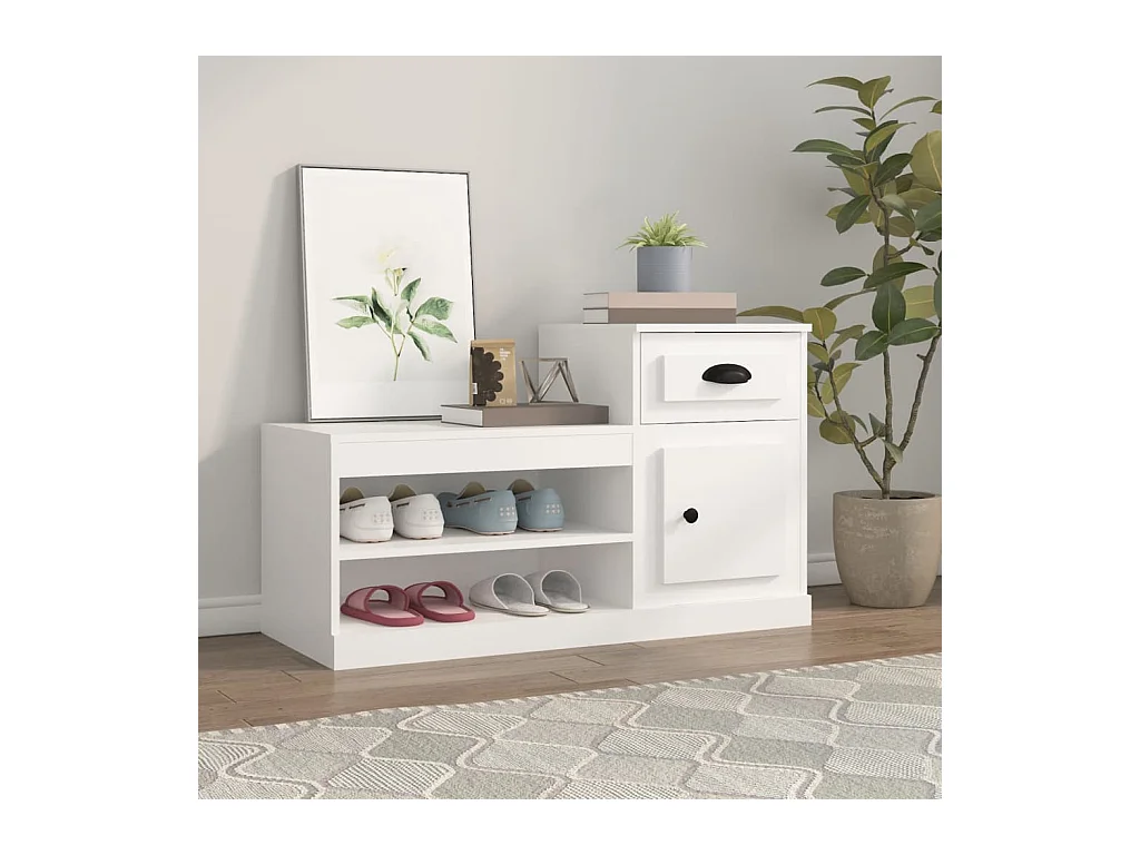 Meuble à chaussures blanc 100x42x60 cm bois d'ingénierie FR48112