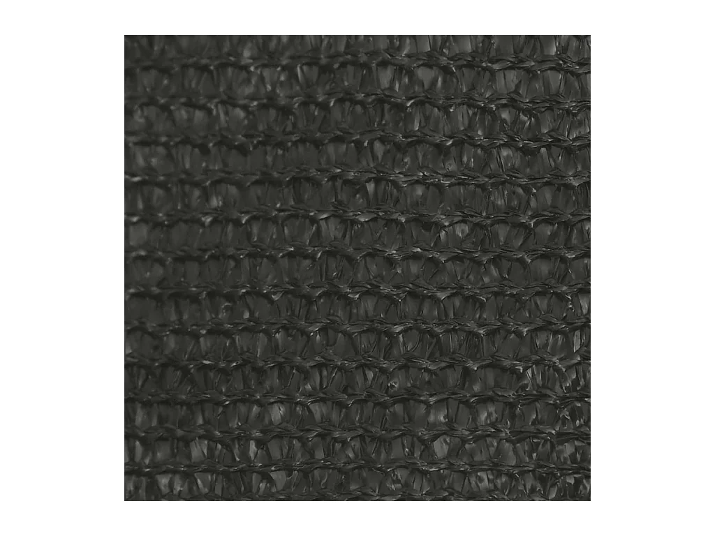 Voile d'ombrage 160 g/m² Anthracite 2,5x2,5x3,5 m PEHD FR49865