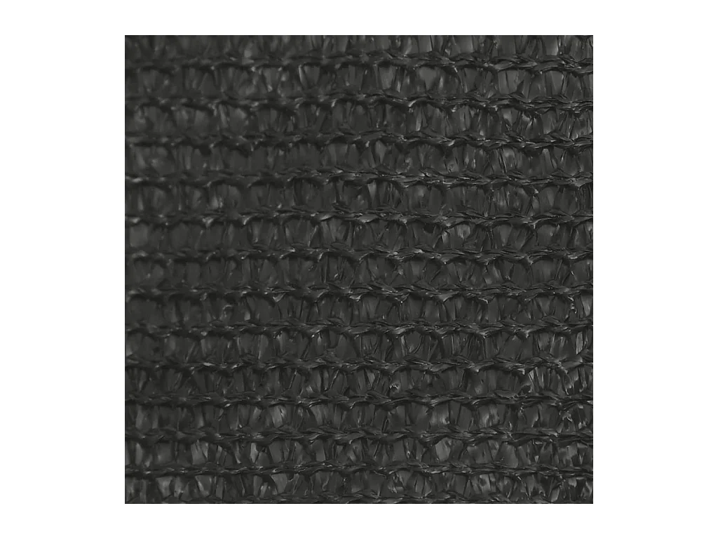 Voile d'ombrage 160 g/m² Anthracite 3x4x5 m PEHD FR28543