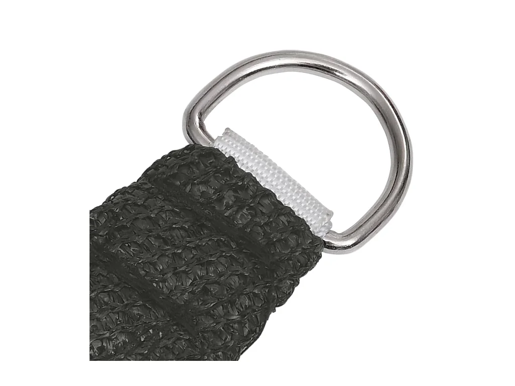Voile d'ombrage 160 g/m² Anthracite 2,5x5 m PEHD FR45545