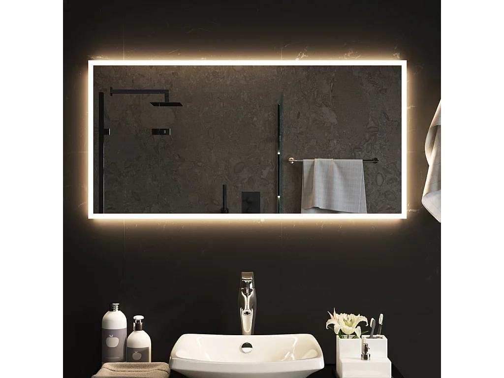 Miroir de salle de bain à LED 100x50 cm FR72891