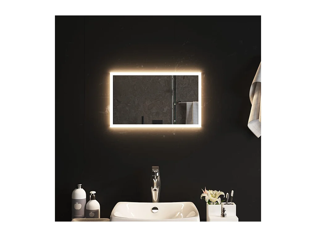 Miroir de salle de bain à LED 30x50 cm FR43578