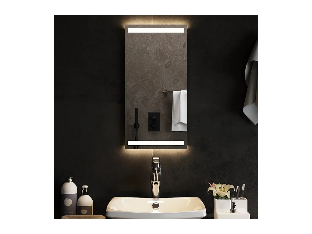 Miroir de salle de bain à LED 30x60 cm FR30483